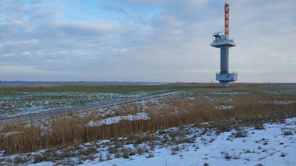 Stellplatz Freiburg /Elbe — Photo 6