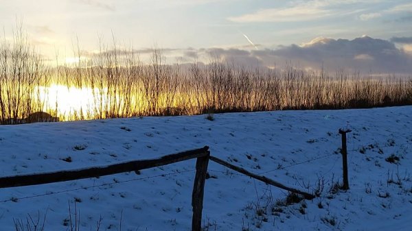 Stellplatz Freiburg /Elbe — Photo 5