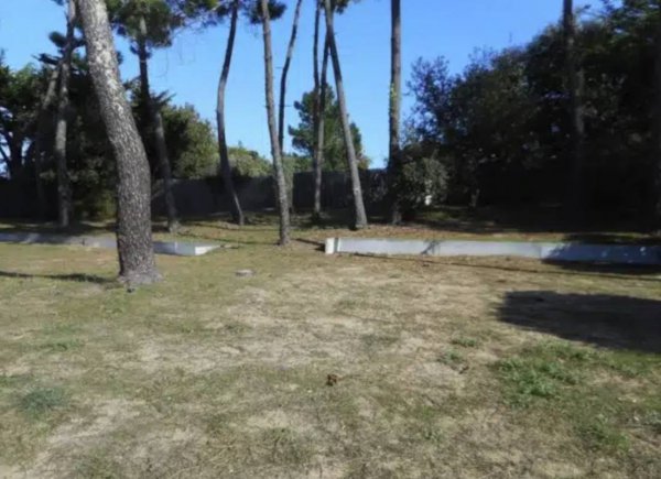 Camping Ile d'Oléron *** — Photo 2