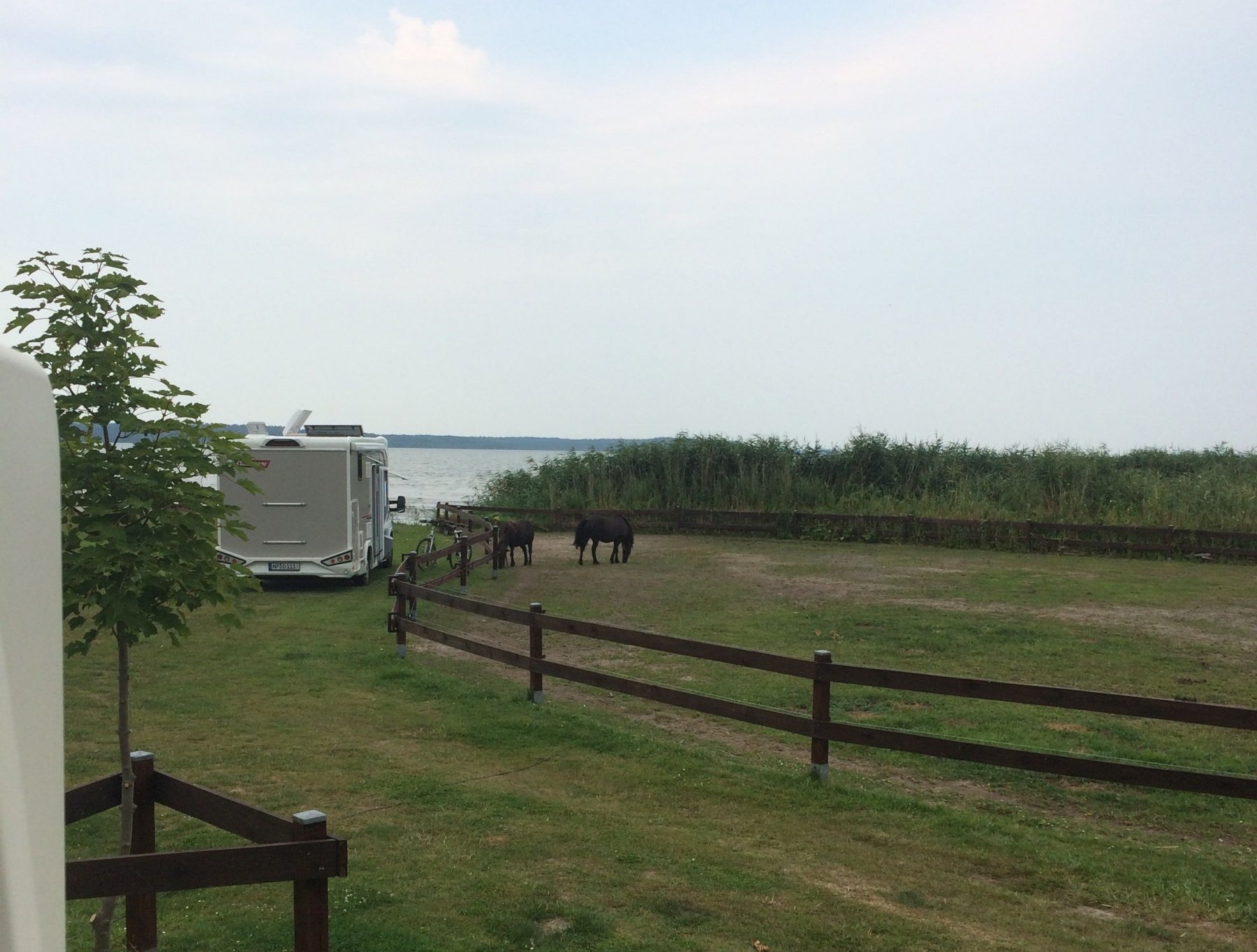 Stellplatz Haffcamping in Rieth — Camperplaats in Luckow