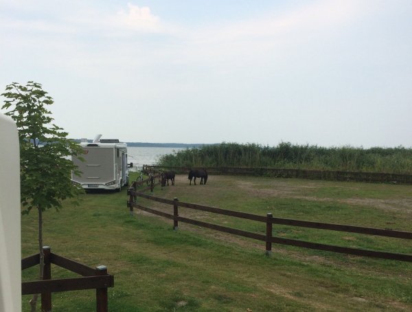 Stellplatz Haffcamping in Rieth — Foto 5