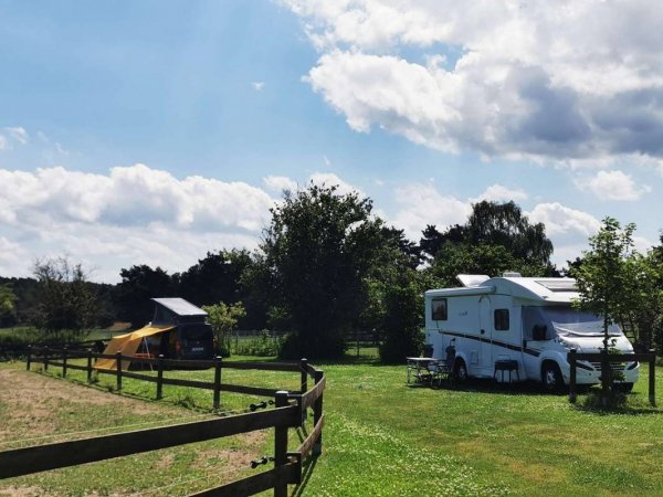 Stellplatz Haffcamping in Rieth