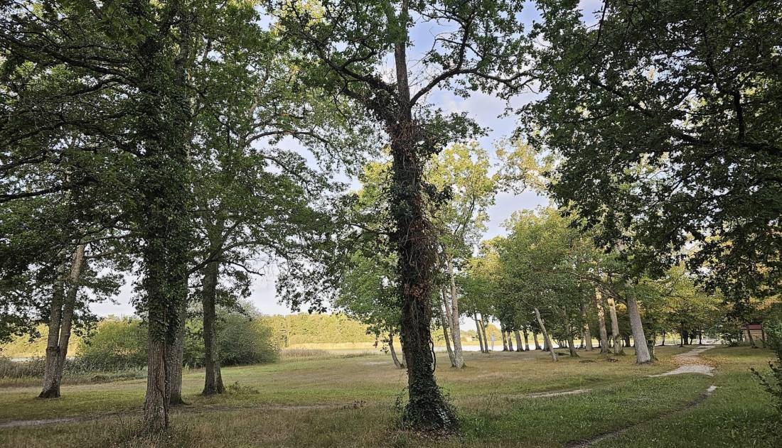 L'Étang des Bois — Kamp yeri in Vieilles-Maisons-sur-Joudry