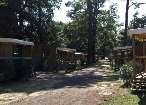 Camping l'Estanquet ***** — Photo 3