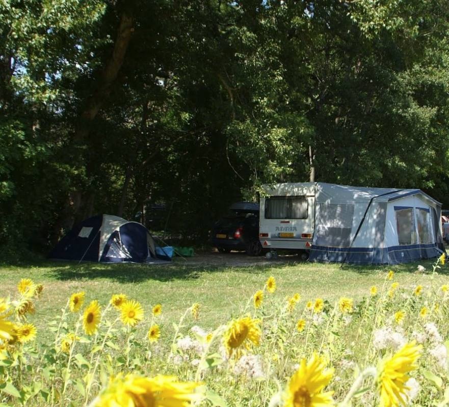 Camping L'Hirondelle ***** — Kemp in Menglon