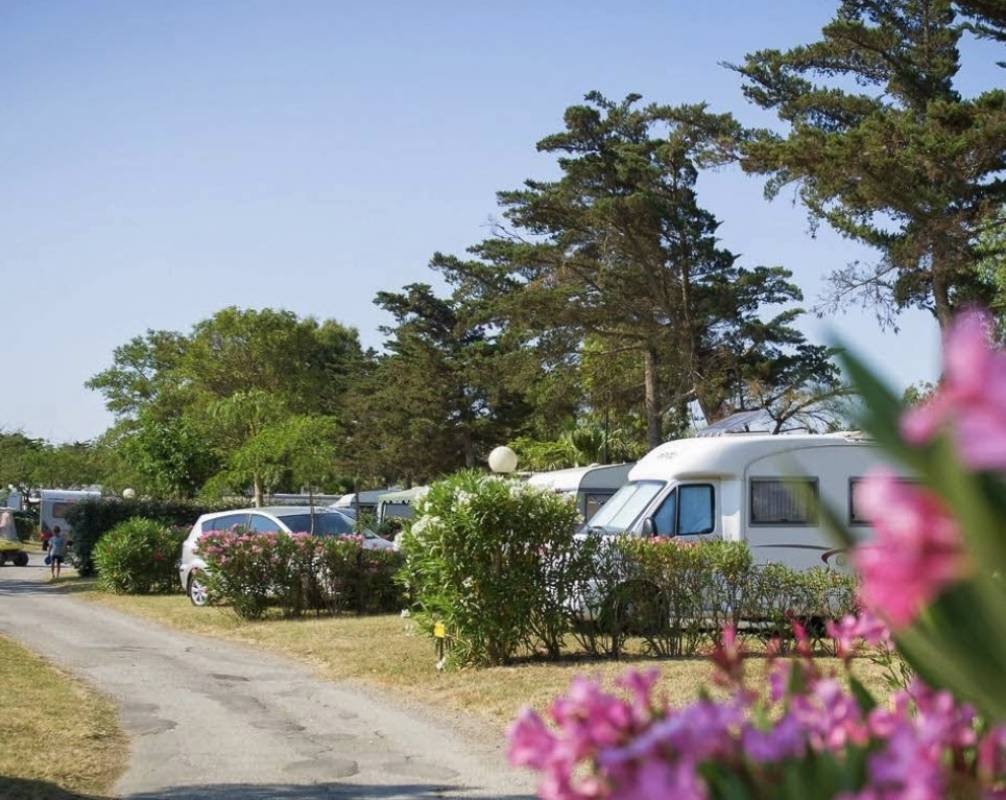 Camping l'Oasis **** — Kemping in Le Barcarès