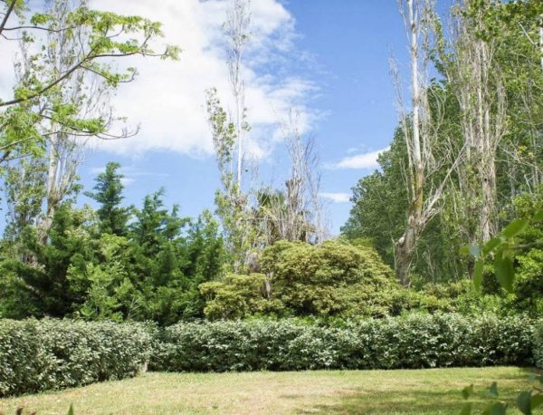 Camping l'Oasis **** — Photo 3