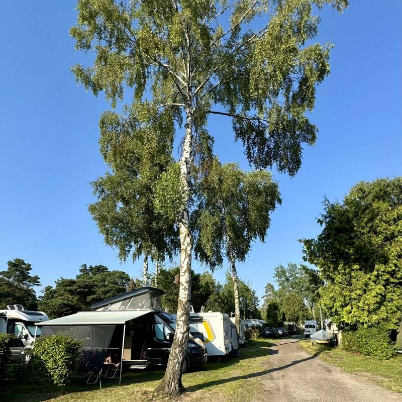 Campingplatz am Fischerstübchen Neustadt Mardorf — Місце для кемпінгу in Neustadt am Rübenberge