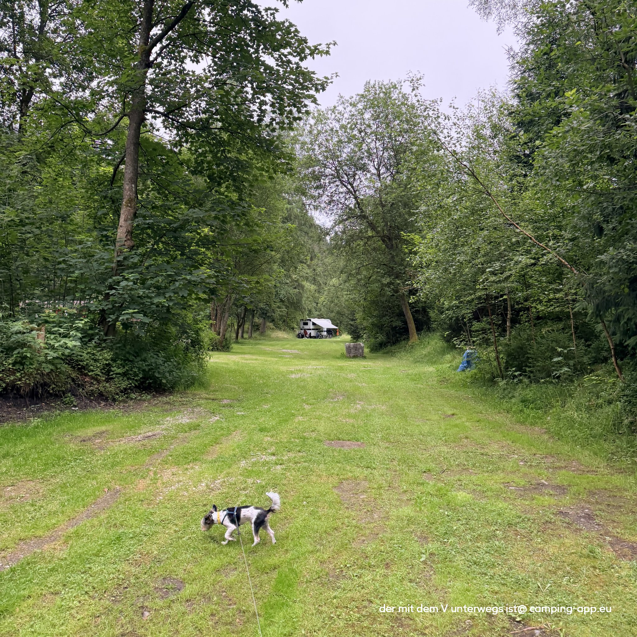 Stellplatz Wildemann — Photo 4