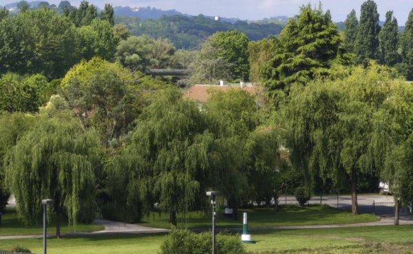 Camping des Gaves — Photo 2