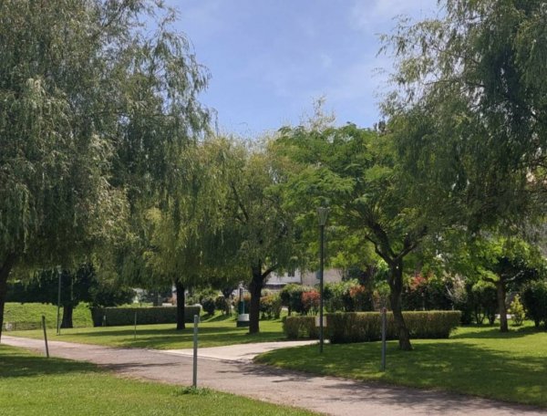 Camping des Gaves — Photo 3