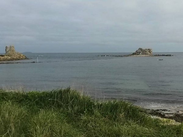 Camping Le Bricon Guyomard Simone — Photo 2