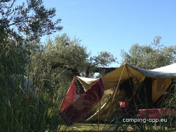 Camping Little Carpe Diem *** — Photo 4