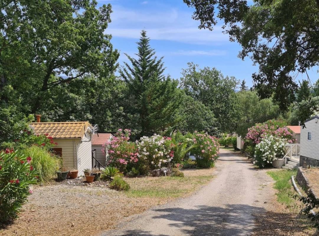 Camping Le Dattier **** — Kamp yeri in Fréjus