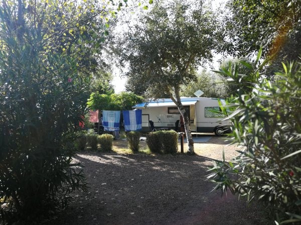 Camping Beauregard Plage Marseillan — Camping in Marseillan / Occitanie