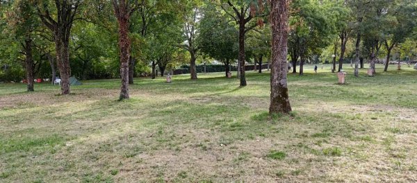 Camping Le Lac Noir — Photo 3