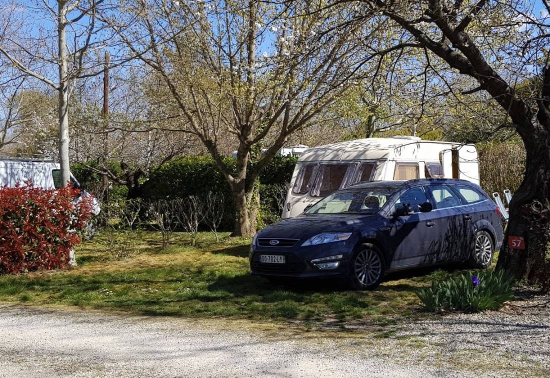 Camping Les Cerisiers *** — Campingplatz in Céret