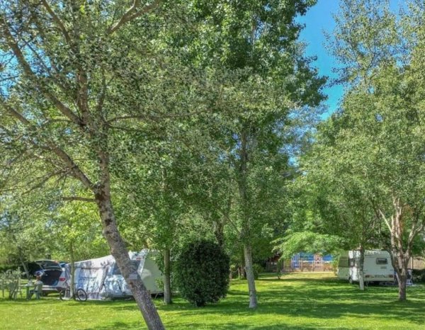 Camping Le Moulin Geese