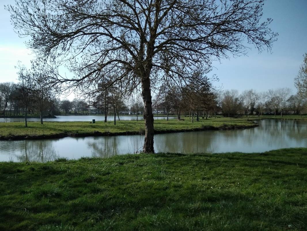 Camping Green Island — Campingplats in Genouillé