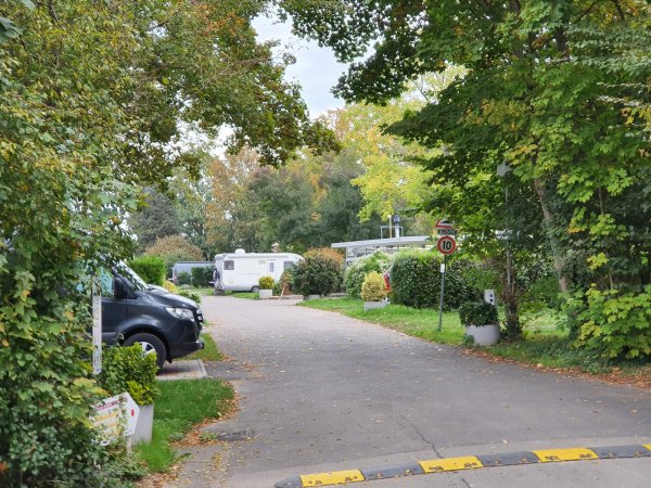 Camping de l'Ill *** — Photo 2