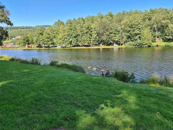 Camping l'Etang — Photo 2