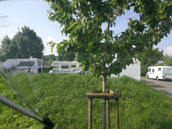 Stellplatz Reichenau — Photo 2