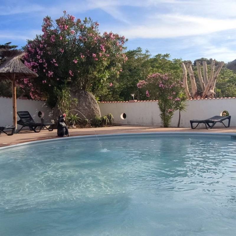 Camping Tikiti *** — Camping Site in Propriano / Provence-Alpes-Côte d'Azur