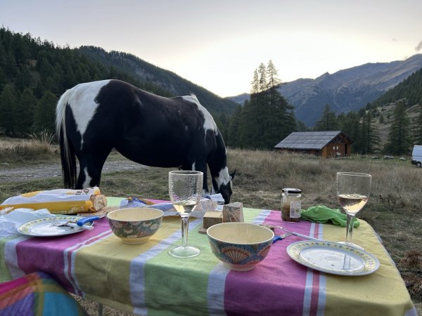 Camping Municipal — Photo 3