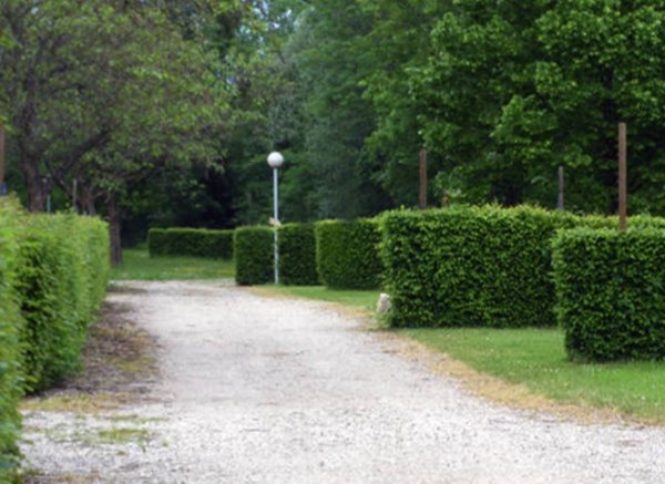 Camping Municipal s/ Suran *