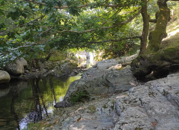 Camping La Palhère *** — Photo 2