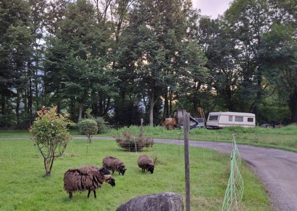 Camping Paradis A l'Ombre des Tilleuls ***