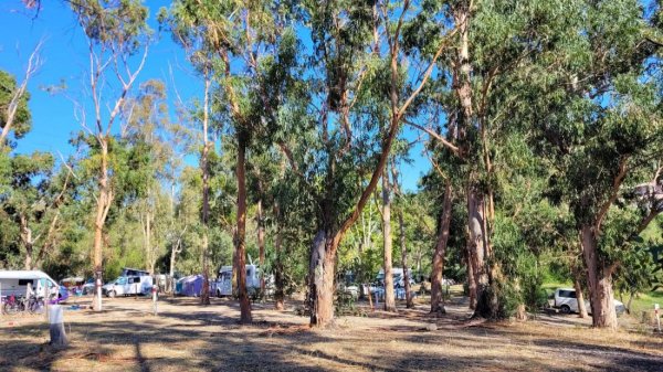 Camping Acqua Dolce — Foto 2