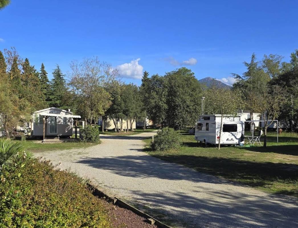 Camping de la Vallée *** — Campingplats in Saint-Jean-Pla-de-Corts / Occitanie