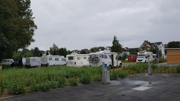 Stellplatz Halbinsel Mettnau — Photo 3