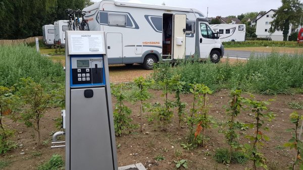 Stellplatz Halbinsel Mettnau — Photo 5