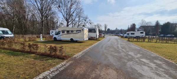 Stellplatz Halbinsel Mettnau — Photo 2