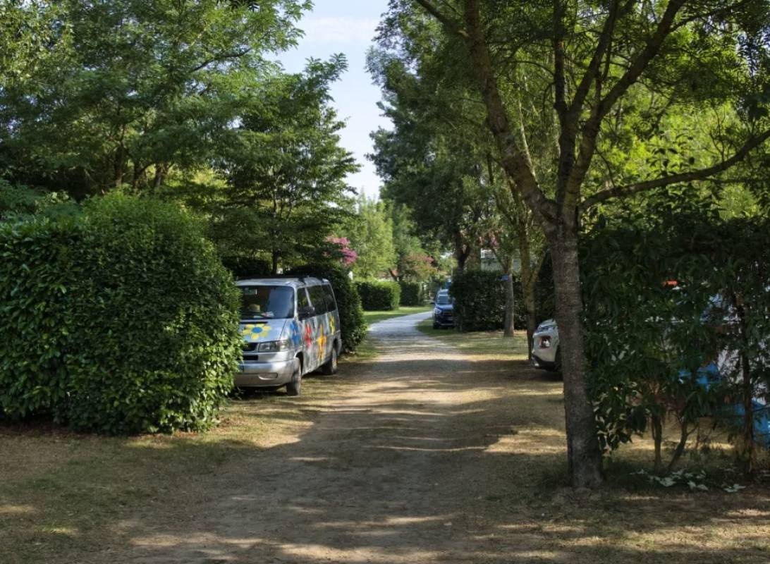 Camping Le Pessac *** — Camping Site in Vielmur-sur-Agout 
