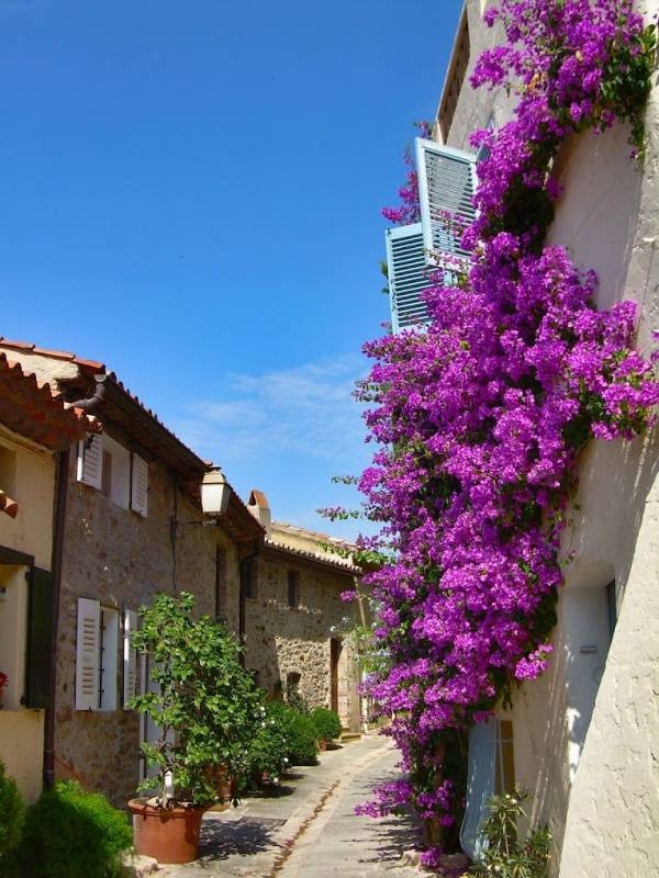 Camping Charlemagne **** — Sítio de acampamento in Grimaud