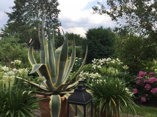 Stellplatz Grünewalder Lauch — Photo 2