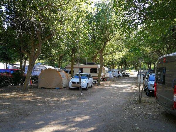 Flower Camping Robinson — Photo 2