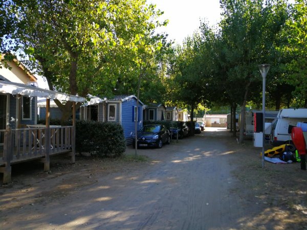 Flower Camping Robinson — Photo 3