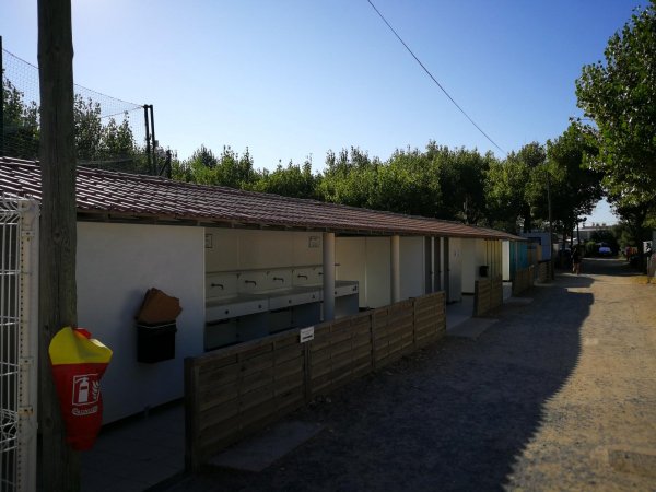 Flower Camping Robinson — Photo 5