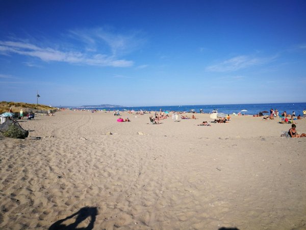 Flower Camping Robinson — Photo 6