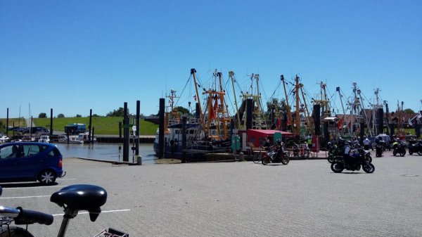 Stellplatz am Deich Jemgum - Ditzum — Photo 5