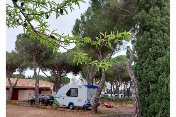Camping International du Roussillon — Campingplass in Salses-le-Château