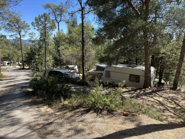 CAMPING MUNICIPAL LA PINEDE — Photo 2