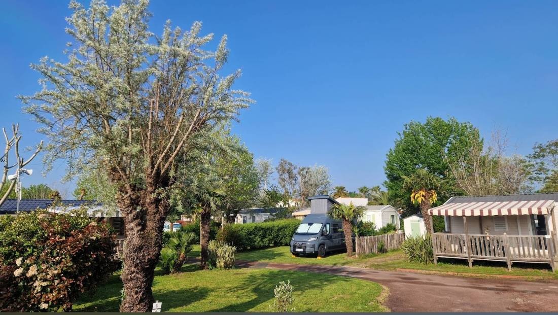Antioche d'Oléron — Kamp yeri in La Brée-les-Bains