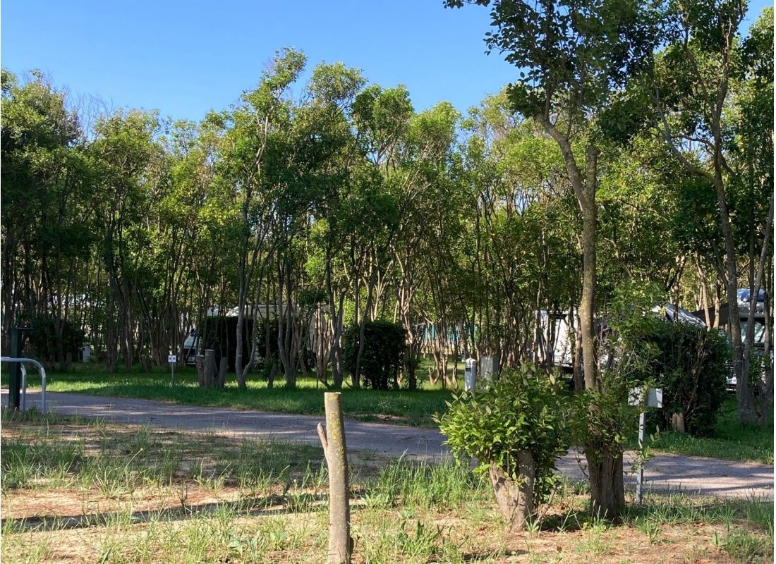 Camping municipal — Camping in Loupian / Occitanie