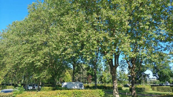 Camping OnlyCamp Longue Rive **