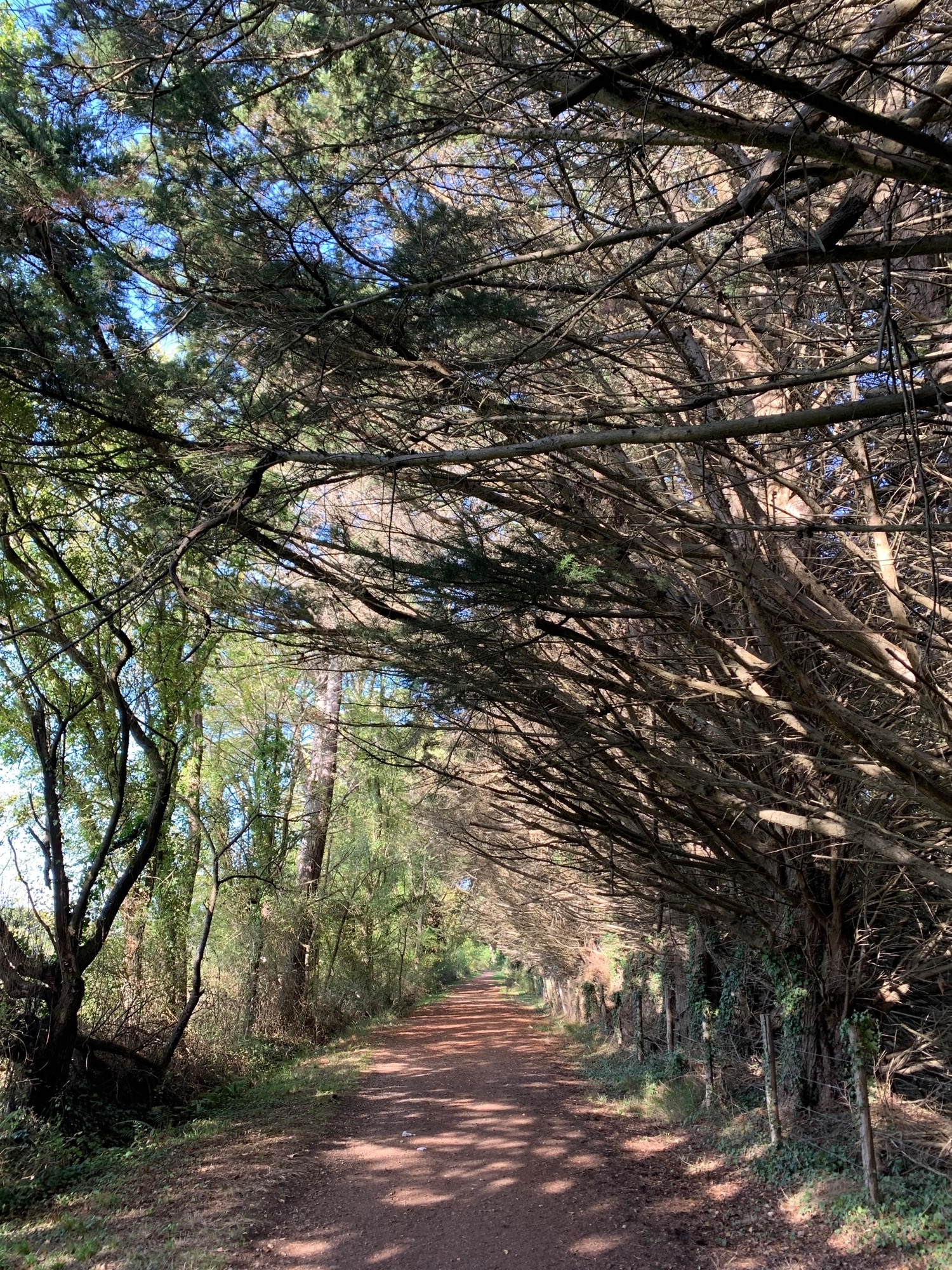 Camping La Ferme de Lann Hoëdic *** — Camping in Sarzeau 